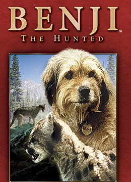 Benji the Hunted