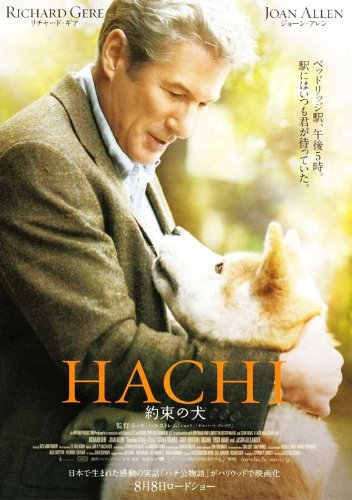 Hachi