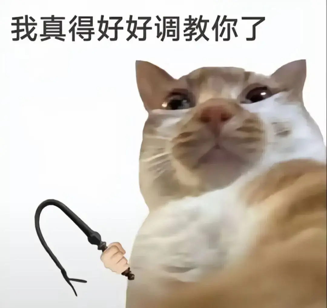 2cd70da7659641738d7d8efb70326aa7.webp